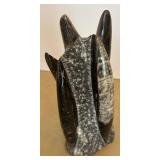 Orthoceras Silurian Morocco