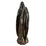 Orthoceras Silurian Morocco