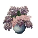 Framed Hydrangea Original Painting