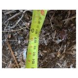 Vintage Badger Tiling / Trenching Machine - This Unit Runs! - Off Site NW of Fairfax, Removal Will Need to be Arranged