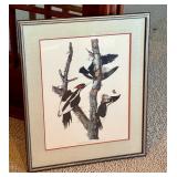 Vintage Engraving Colored Print by R. Hawell / Vintage Engraving Ivory Billed Woodpecker