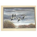 "Ducks Near the Bay" Print by David Maass