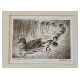 Les Kouba Drypoint Etching / Original Les Kouba Drypoint Etching Mallard with Brood
