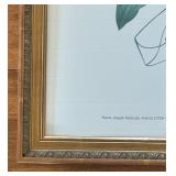 Art in Bloom Promotional Print for The Minnesota Institute of Arts