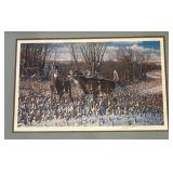 "Oak Ridge Monarch White Tail Deer" Limited Edition Signed Print by Michael Sieve