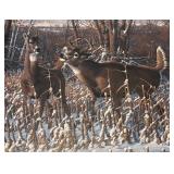 "Oak Ridge Monarch White Tail Deer" Limited Edition Signed Print by Michael Sieve