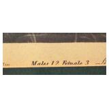 Vintage Framed Audubon Lithograph Pinnated Grous