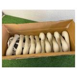 Box of 1 Dozen Snow Goose Field Decoys