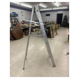 Werner Step Ladder