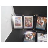 Dallas Cowboys Football Card Lot in Holders