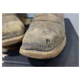 Irish Setter Marshall Men