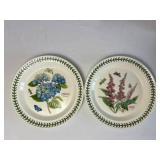 Portmeirion Botanic Garden Dinner Plates