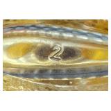 Vintage Perfume Bottles and Lovely by Sarah Jessica Parker