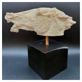 Horse Head Sculpture by DeWitt on Black Table Top Base