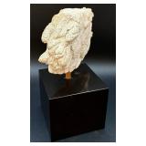 Horse Head Sculpture by DeWitt on Black Table Top Base