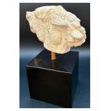 Horse Head Sculpture by DeWitt on Black Table Top Base