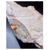 Horse Head Sculpture by DeWitt on Black Table Top Base