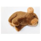 Little Animal Adventures Book Set with Plush Bear Toy