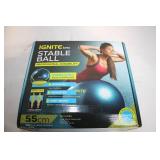 SPRI Ignite 55cm Stability Ball with Pump and Guide
