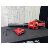 SKIL Cordless Blower