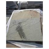 PATTERNED NEW YORK BLUESTONE