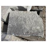 FONDULAC  STEP AND OUTCROPPINGS