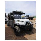 ODES 800 LIL TRUCK, DOMINATOR  4 X 4  UTV