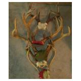 Deer Antlers (5)