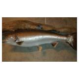 Fish Mount