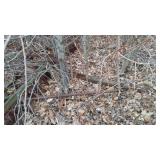 Disc Plow. appears trailer tongue is twisted