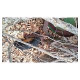 John Deere Windrow Rake 350, 13571