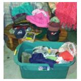 Clothing and Hat Variety.
