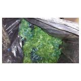 Christmas Decor, Lights, Trees. Large Lot!