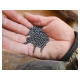 Clay Thrower, 8 and 7 1/2 Lead Shot.