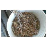 Chains (2) and Tire Chains.