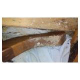 Table, Chairs (6), Table Cover, Leaves