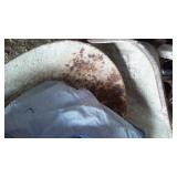 Wheelbarrows (4) and Hand Cart.