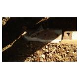 Small Tractor Yard Cart. Wood