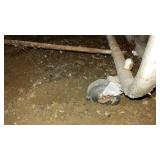 American Hospital Supply Co. Rolling Storage Cart