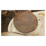 Vintage Saw Blades (3).