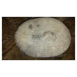 Tar Paper Rolls(3 Partial Rolls)