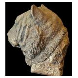 WCS Large Tiger Sculpture and Siberian Tiger Figurine Sculpture Carved Wood Jungle Graces Cain Limited Edition