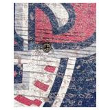 Minnesota Twins Baseball Outdoor Decor