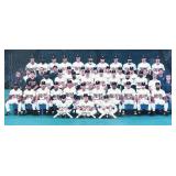 Minnesota Twins Baseball 1991 World Series Champions Plaque with Team Photograph