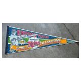 Minnesota Twins Baseball Decor