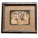 Gorgeous Framed Print of Tiger by Annrika McCavitt