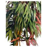 Large Lovely Potted Faux Ficus Tree