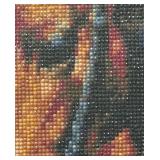 Framed Horse Motif Diamond Art