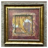 Pretty Tiger Framed Print by Cook