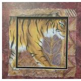 Pretty Tiger Framed Print by Cook